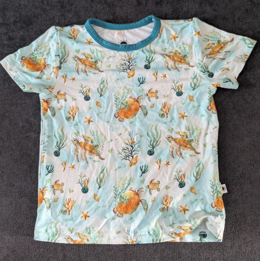 ❤️2/$20❤️ Ploom Baby Bamboo Turtles Tee